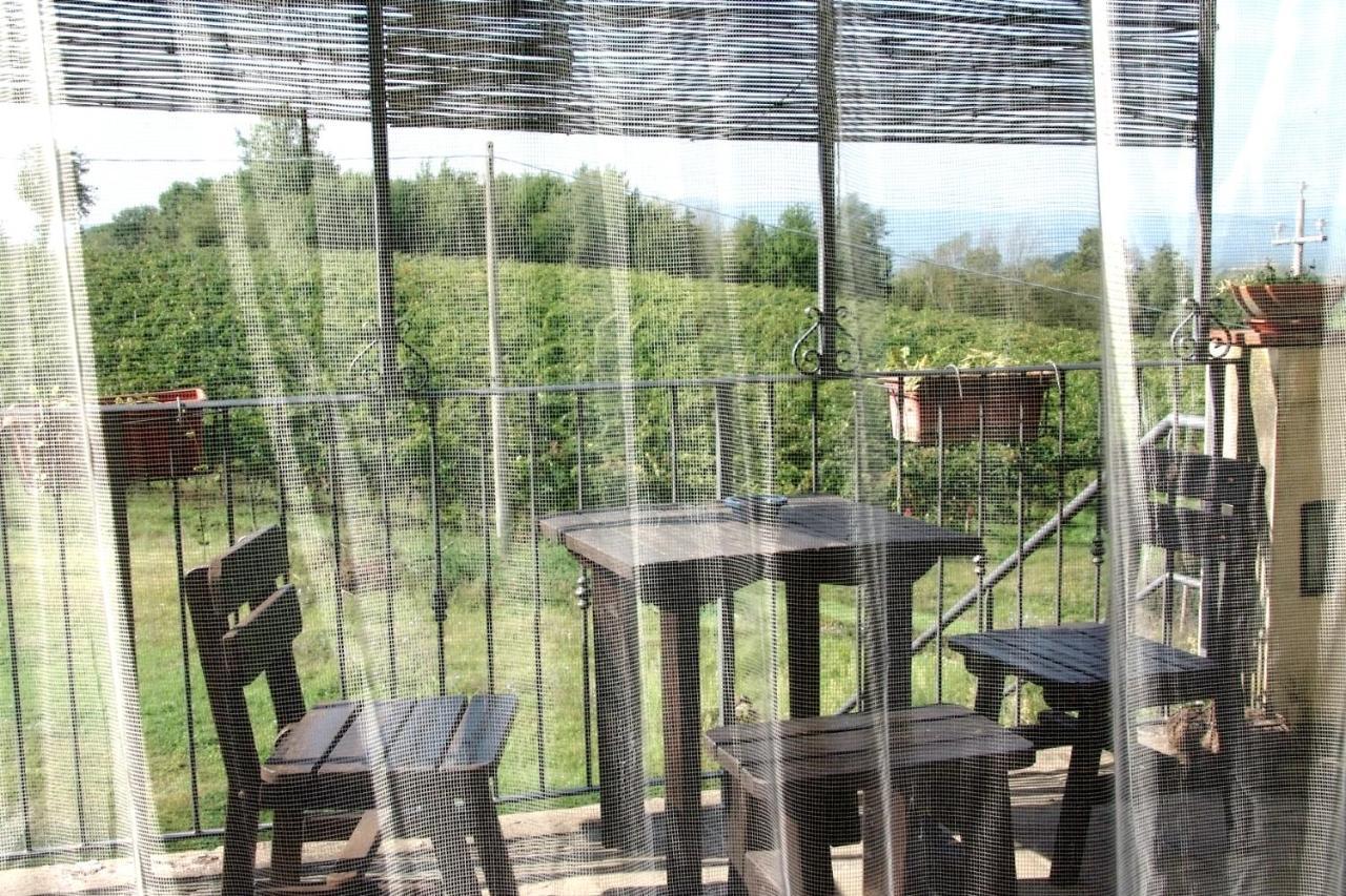 Il Pino Bioagricoltura Villa Terranuova Bracciolini Exterior foto